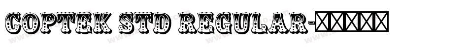 Coptek Std Regular字体转换